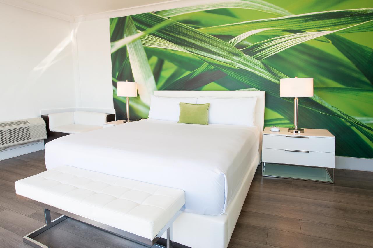 מיאמי ביץ' President Hotel מראה חיצוני תמונה